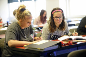 Two students studying